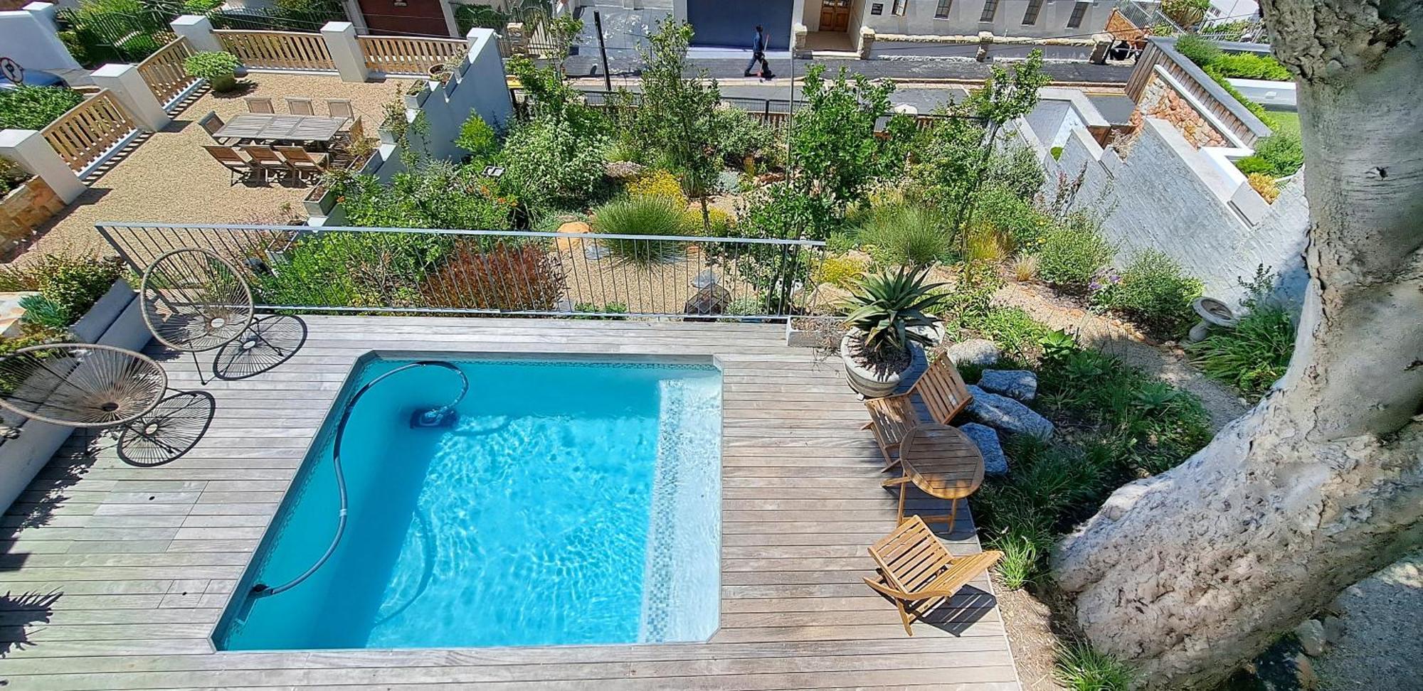 The Dragon Tree Guesthouse Kalk Bay Exterior photo